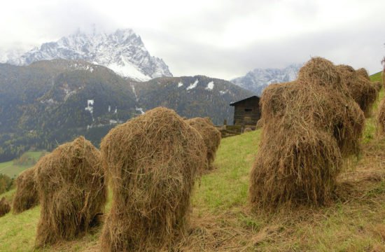 kirschnerhof-sesto38