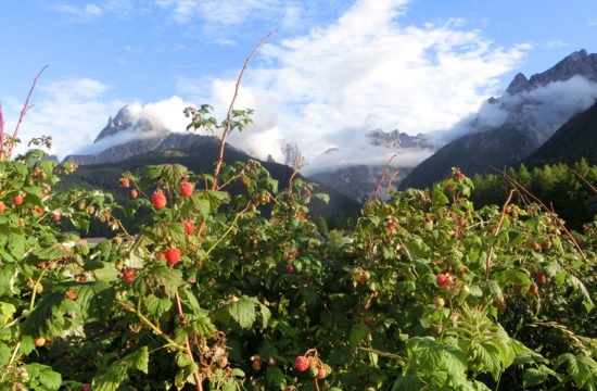 kirschnerhof-sesto39