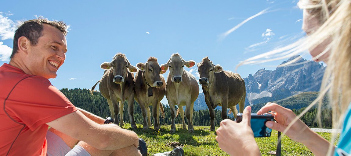 Vacanze al maso in val pusteria