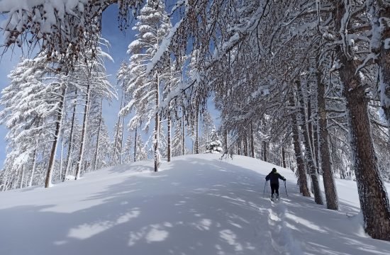 mitschneeschuhen