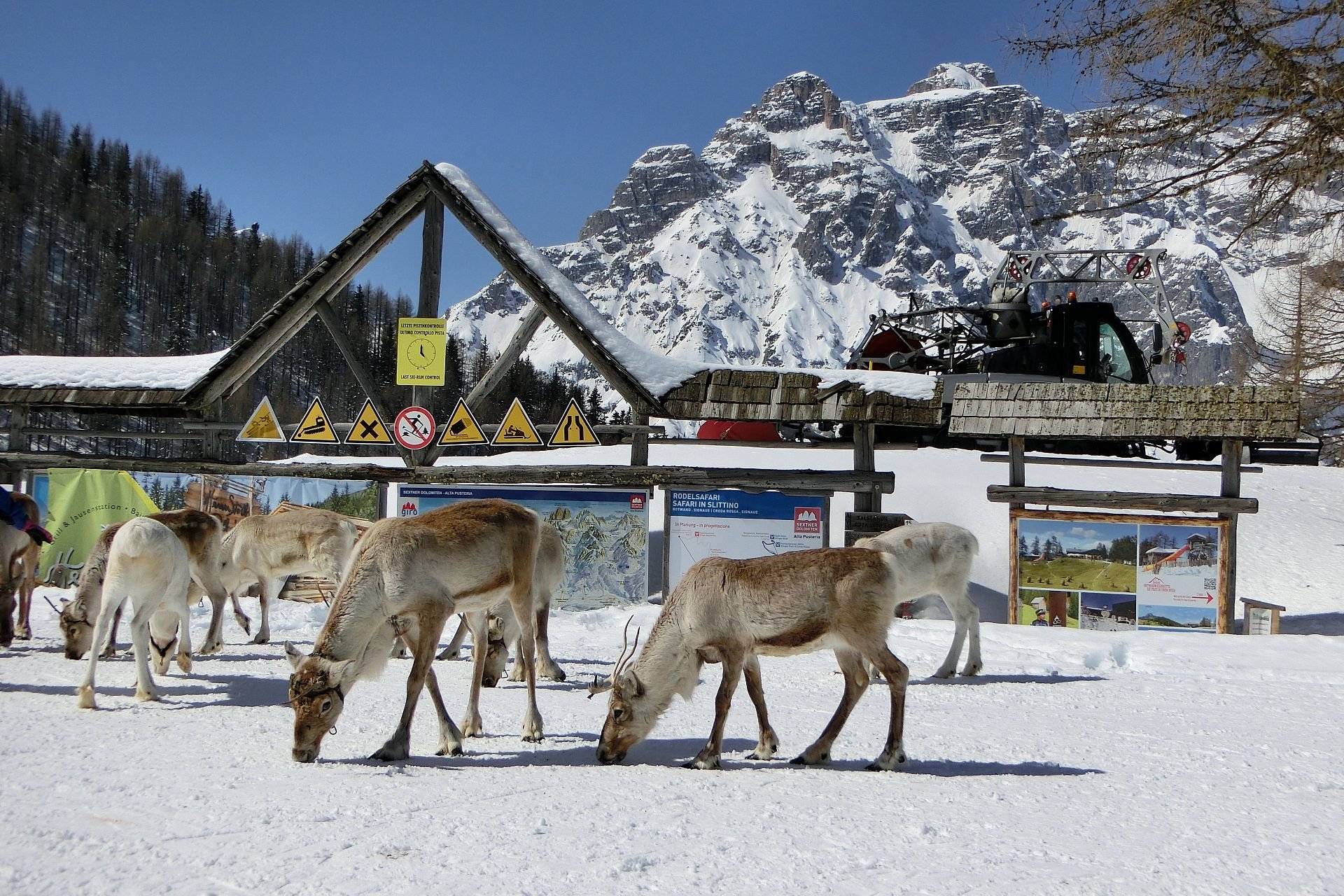 Überraschung in der Winterlandschaft