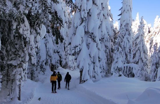 Winterwunderland